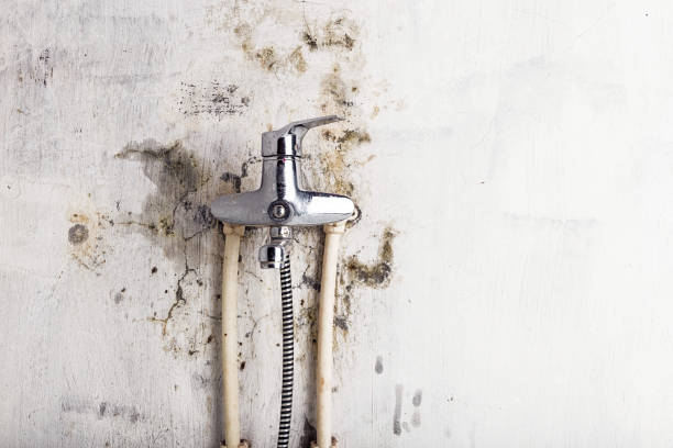 Best Affordable Mold Removal  in Oakhurst, OK