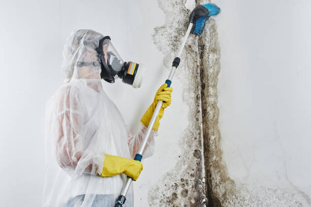 Best Mold Cleaning Services  in Oakhurst, OK