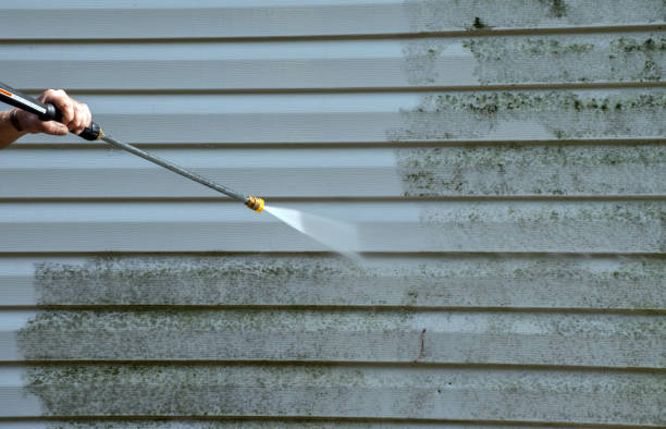 Best Mold Remediation  in Oakhurst, OK