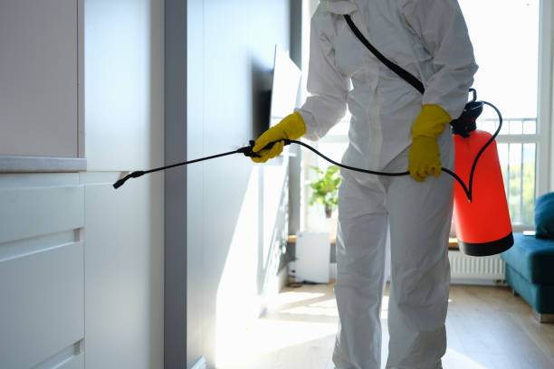 Best Mold Testing  in Oakhurst, OK