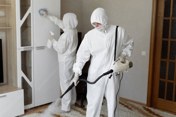 Office Mold Removal Services in Oakhurst, OK