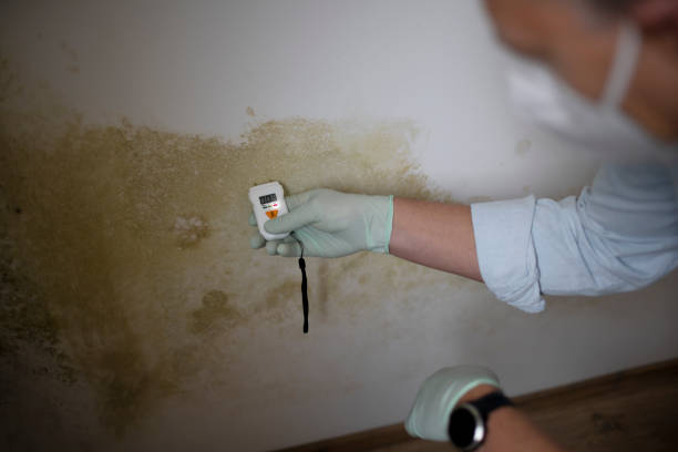 Trusted Oakhurst, OK Mold Removal Experts