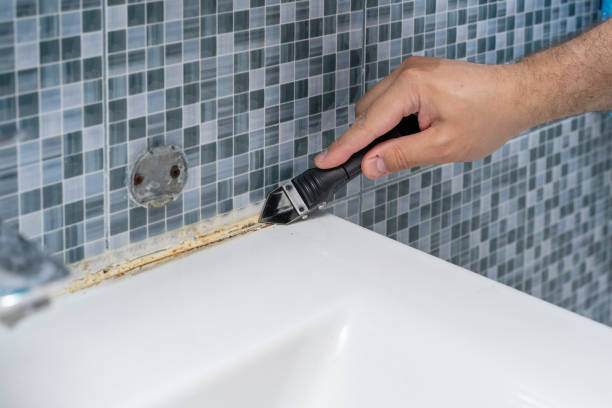 Best Mold Removal Company Near Me  in Oakhurst, OK