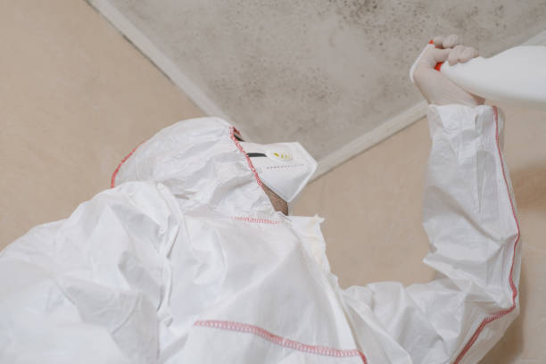 Best Residential Mold Removal  in Oakhurst, OK