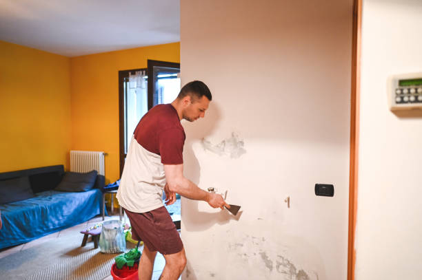 Mold Removal and Inspection in Oakhurst, OK