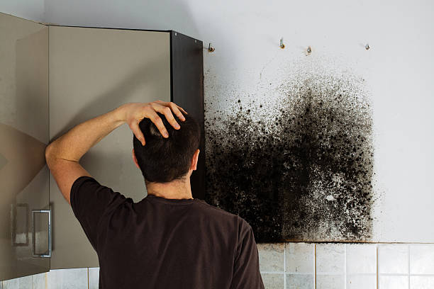 Best Professional Mold Removal  in Oakhurst, OK